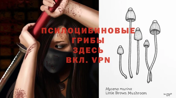 мяу мяу мука Абаза