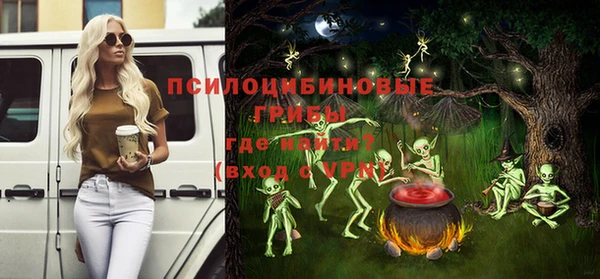 мяу мяу мука Абаза