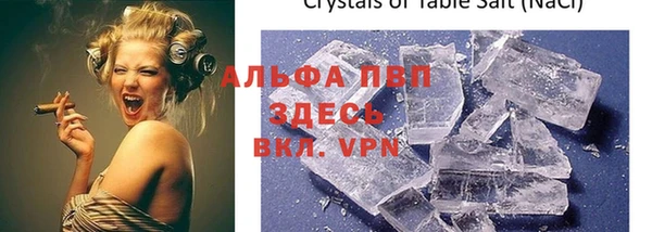 мяу мяу мука Абаза